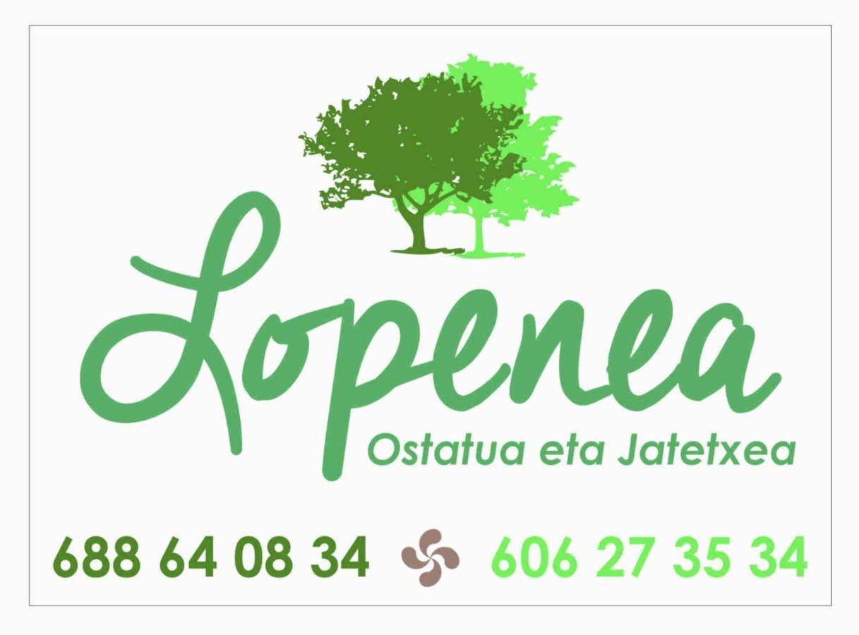 Hostal-Cicloturismo Lopenea Leitza  Εξωτερικό φωτογραφία