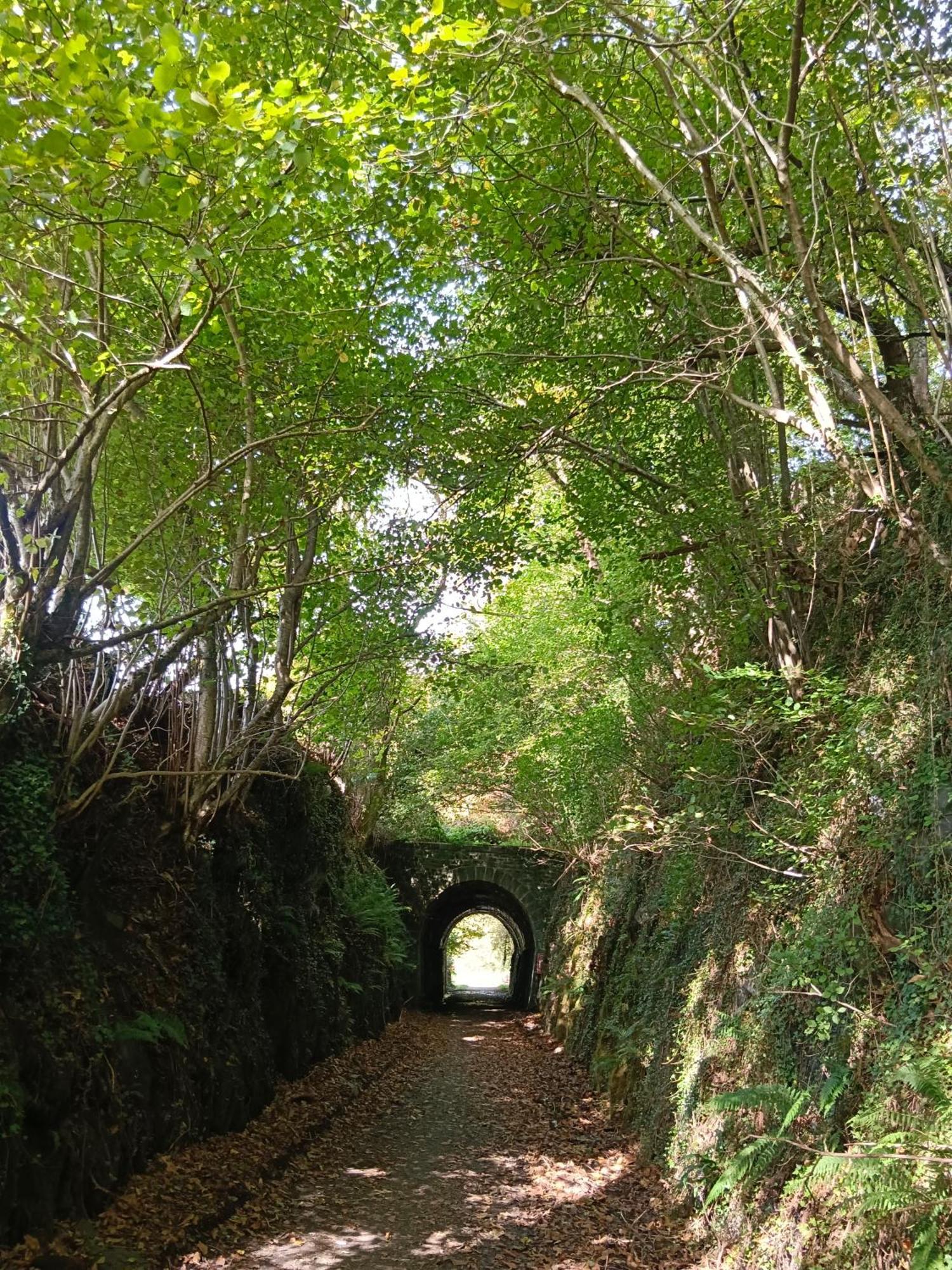 Hostal-Cicloturismo Lopenea Leitza  Εξωτερικό φωτογραφία